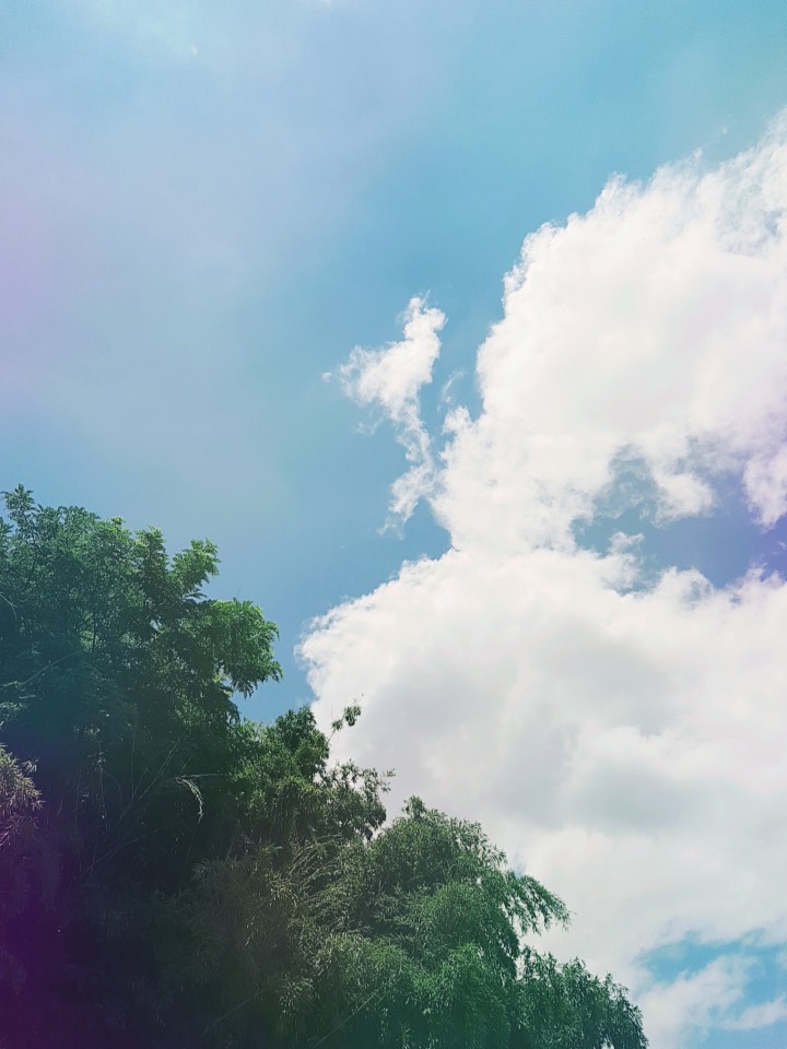 The story of how Retrica captured my&nbsp;heart