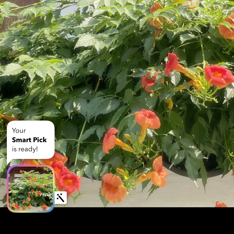 Retrica iOS 8.7 Update: Smart Pick, New Adjustments, and&nbsp;More