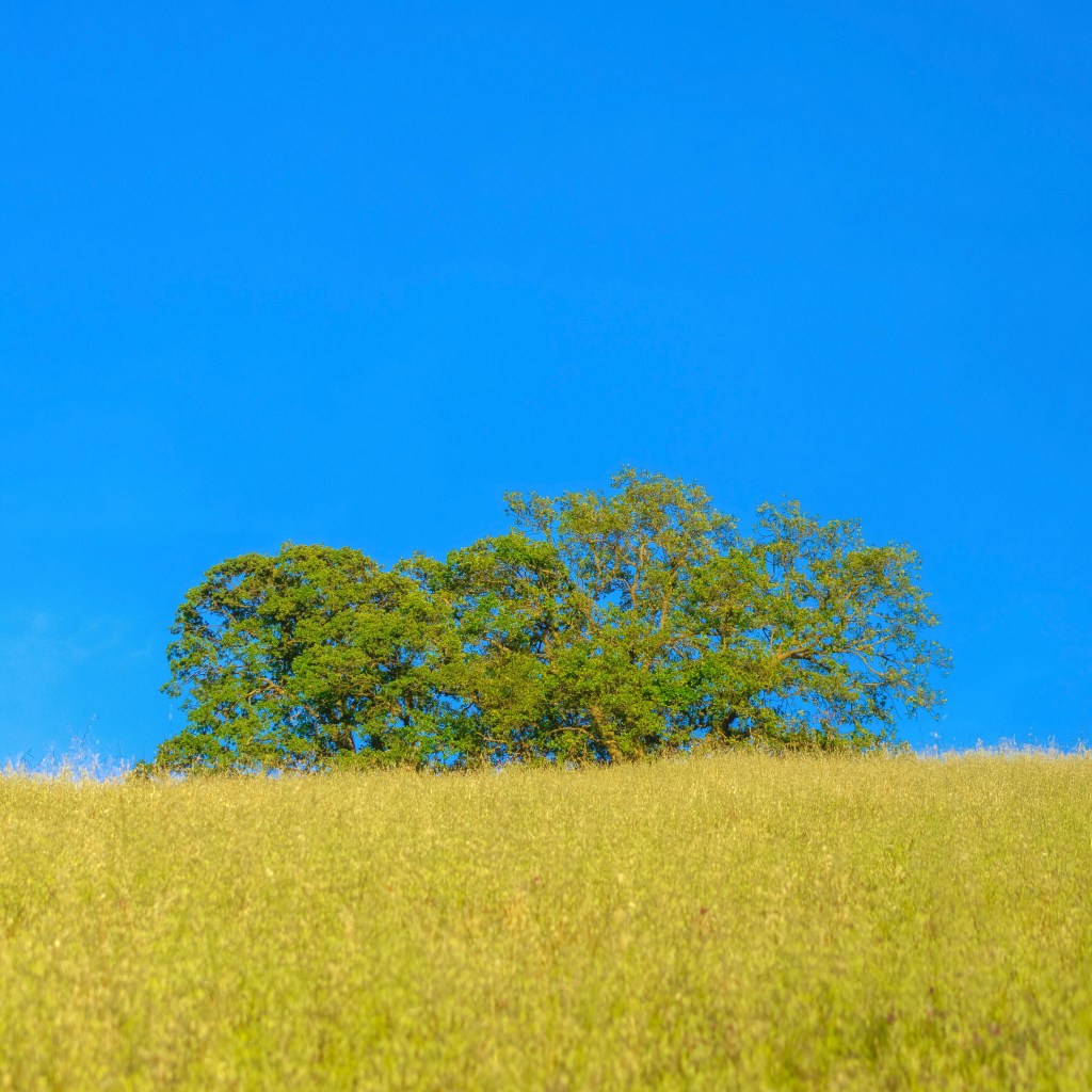 Movie Preset Series:&nbsp;CMBYN