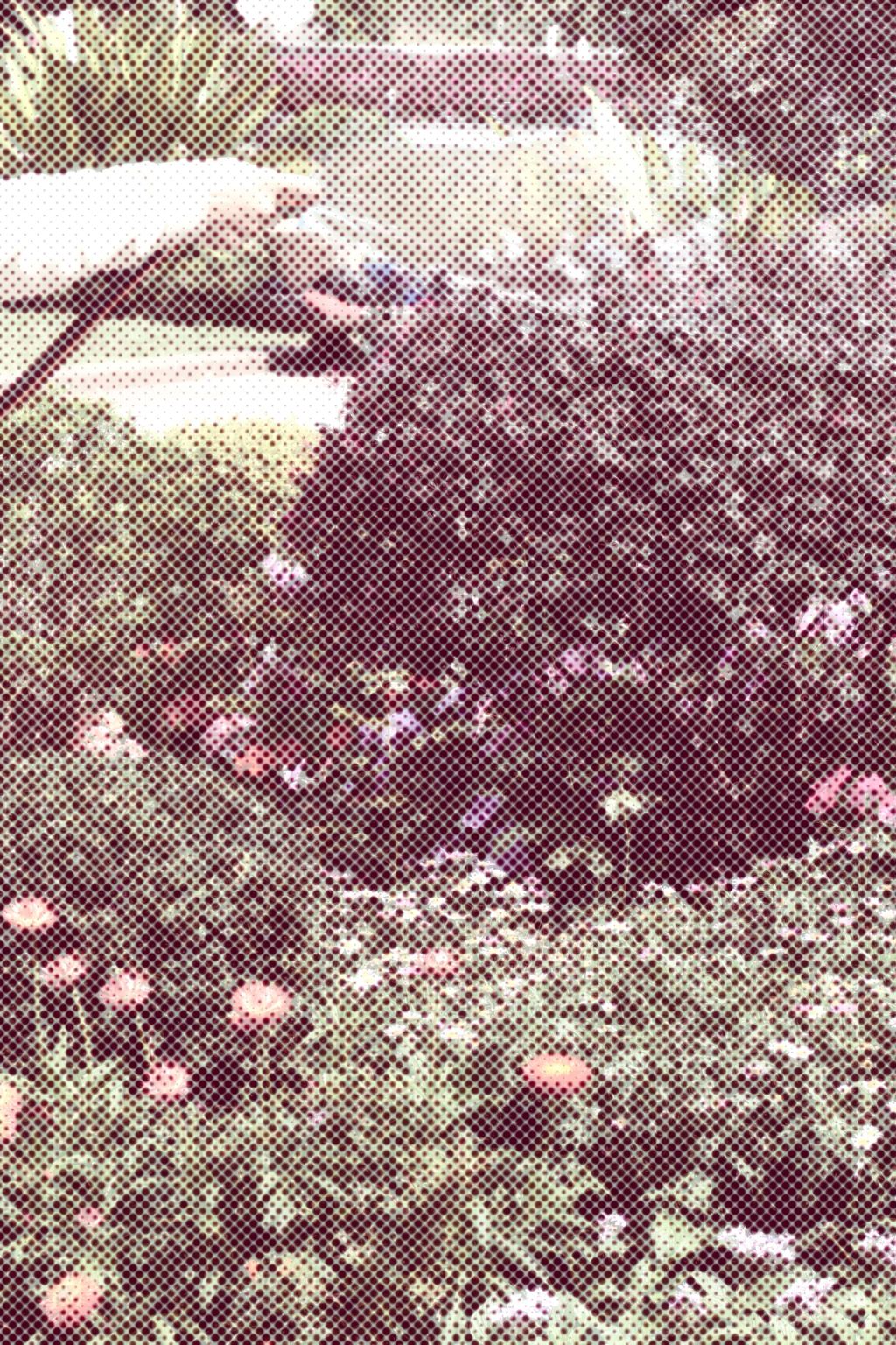 Retrica iOS 8.11 Update: Half Tone Effect, Faster Preset Browsing & A Smoother&nbsp;Experience