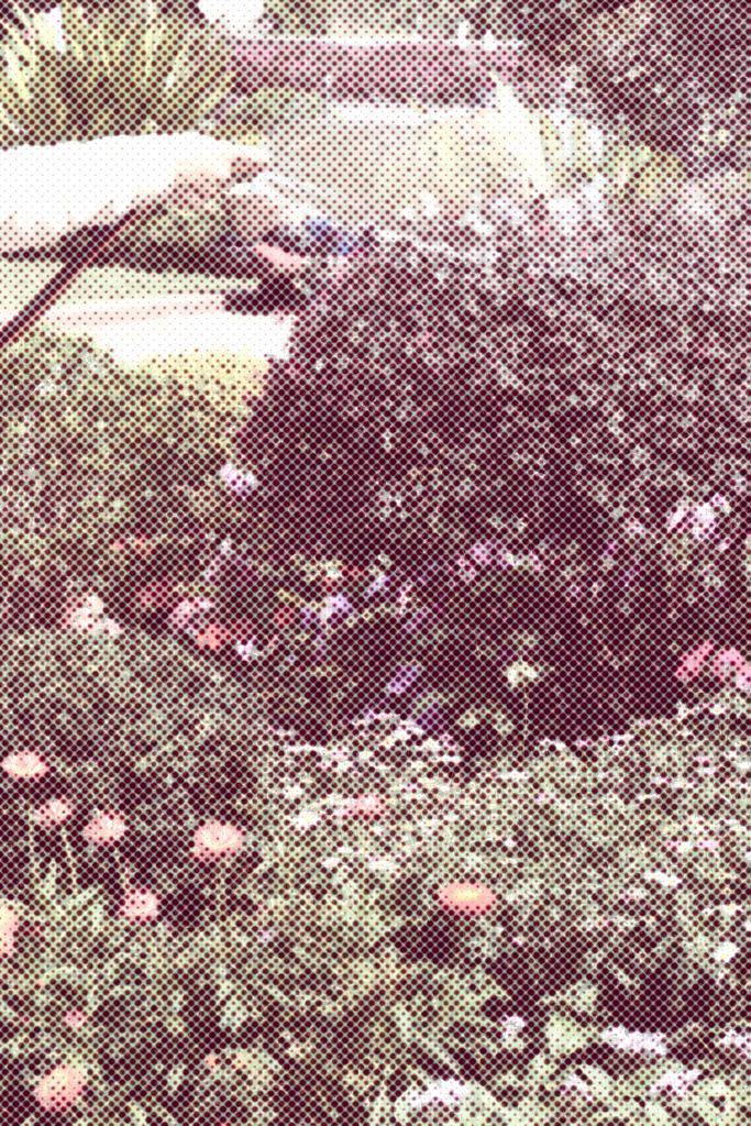 Retrica iOS 8.11 Update: Half Tone Effect, Faster Preset Browsing & A Smoother&nbsp;Experience